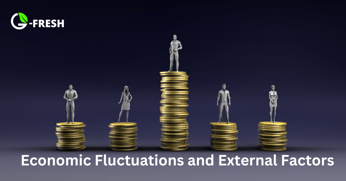 Economic Fluctuations and External Factors