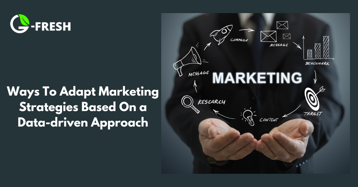 Ways-To-Adapt-Marketing-Strategies-Based-On-a-Data-driven-Approach.