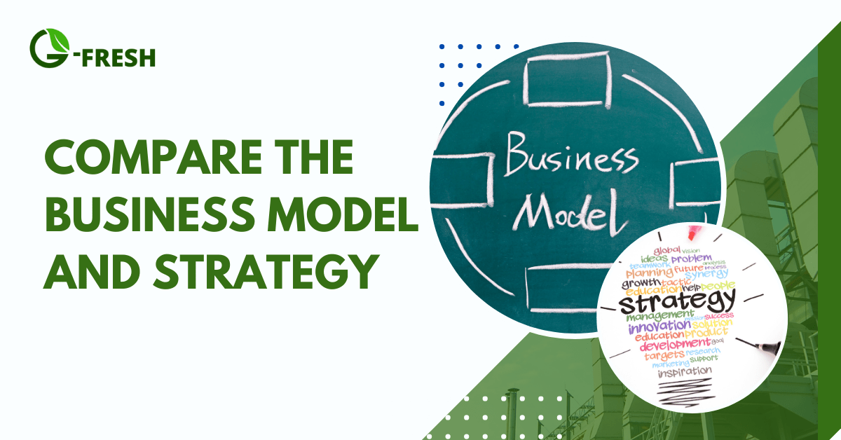 Compare the business models and strategies